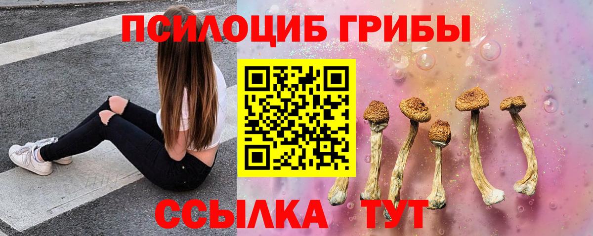 Галлюциногенные грибы Cubensis Знаменск