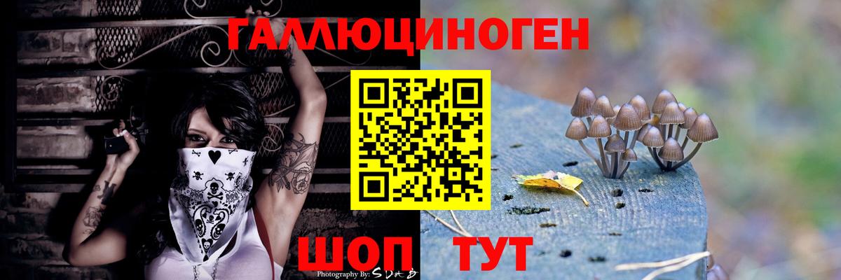 где купить   Вход с VPN  Знаменск  Псилоцибиновые грибы MAGIC MUSHROOMS 